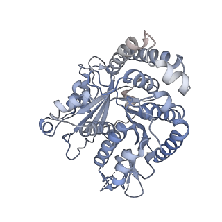 40220_8glv_Cs_v1-2
96-nm repeat unit of doublet microtubules from Chlamydomonas reinhardtii flagella