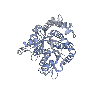40220_8glv_Ct_v1-2
96-nm repeat unit of doublet microtubules from Chlamydomonas reinhardtii flagella