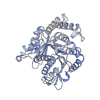 40220_8glv_Cv_v1-2
96-nm repeat unit of doublet microtubules from Chlamydomonas reinhardtii flagella