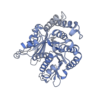 40220_8glv_Cx_v1-2
96-nm repeat unit of doublet microtubules from Chlamydomonas reinhardtii flagella