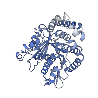 40220_8glv_Cy_v1-2
96-nm repeat unit of doublet microtubules from Chlamydomonas reinhardtii flagella