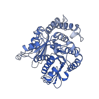 40220_8glv_Cz_v1-2
96-nm repeat unit of doublet microtubules from Chlamydomonas reinhardtii flagella