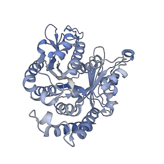 40220_8glv_D0_v1-2
96-nm repeat unit of doublet microtubules from Chlamydomonas reinhardtii flagella