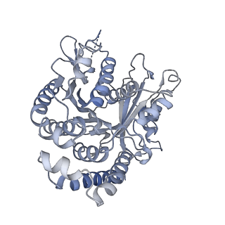 40220_8glv_D1_v1-2
96-nm repeat unit of doublet microtubules from Chlamydomonas reinhardtii flagella
