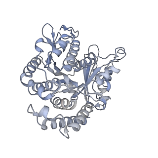 40220_8glv_D2_v1-2
96-nm repeat unit of doublet microtubules from Chlamydomonas reinhardtii flagella
