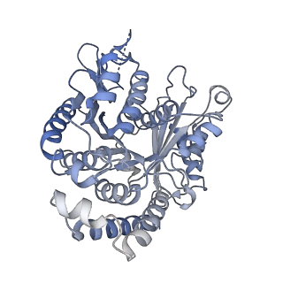 40220_8glv_D3_v1-2
96-nm repeat unit of doublet microtubules from Chlamydomonas reinhardtii flagella