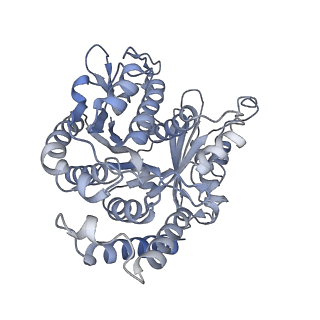 40220_8glv_D4_v1-2
96-nm repeat unit of doublet microtubules from Chlamydomonas reinhardtii flagella