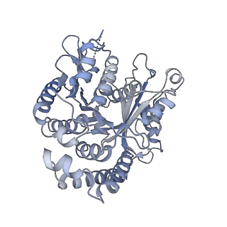 40220_8glv_D5_v1-2
96-nm repeat unit of doublet microtubules from Chlamydomonas reinhardtii flagella