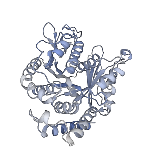 40220_8glv_D6_v1-2
96-nm repeat unit of doublet microtubules from Chlamydomonas reinhardtii flagella