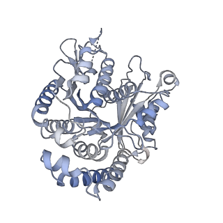 40220_8glv_D7_v1-2
96-nm repeat unit of doublet microtubules from Chlamydomonas reinhardtii flagella