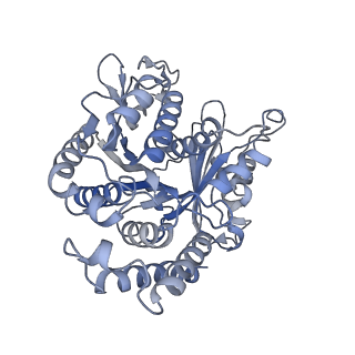 40220_8glv_D8_v1-2
96-nm repeat unit of doublet microtubules from Chlamydomonas reinhardtii flagella