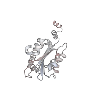 40220_8glv_D9_v1-2
96-nm repeat unit of doublet microtubules from Chlamydomonas reinhardtii flagella