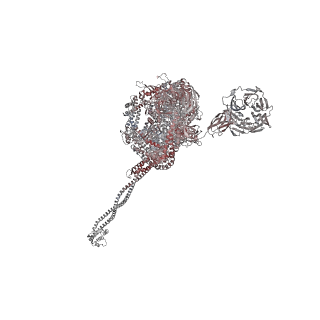 40220_8glv_DA_v1-2
96-nm repeat unit of doublet microtubules from Chlamydomonas reinhardtii flagella