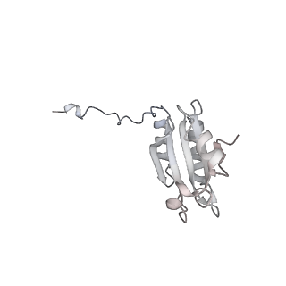 40220_8glv_DC_v1-2
96-nm repeat unit of doublet microtubules from Chlamydomonas reinhardtii flagella