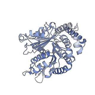 40220_8glv_DD_v1-2
96-nm repeat unit of doublet microtubules from Chlamydomonas reinhardtii flagella