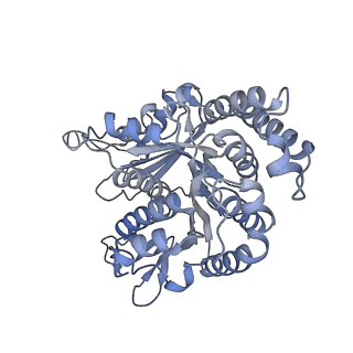 40220_8glv_DE_v1-2
96-nm repeat unit of doublet microtubules from Chlamydomonas reinhardtii flagella