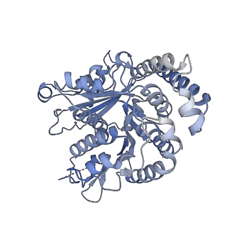 40220_8glv_DF_v1-2
96-nm repeat unit of doublet microtubules from Chlamydomonas reinhardtii flagella