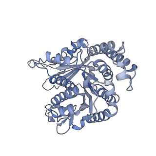 40220_8glv_DG_v1-2
96-nm repeat unit of doublet microtubules from Chlamydomonas reinhardtii flagella
