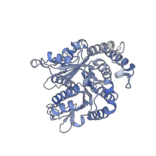 40220_8glv_DI_v1-2
96-nm repeat unit of doublet microtubules from Chlamydomonas reinhardtii flagella