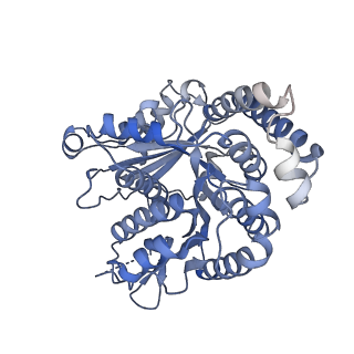 40220_8glv_DJ_v1-2
96-nm repeat unit of doublet microtubules from Chlamydomonas reinhardtii flagella