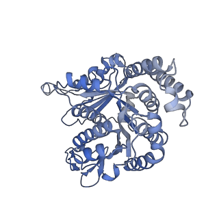 40220_8glv_DK_v1-2
96-nm repeat unit of doublet microtubules from Chlamydomonas reinhardtii flagella