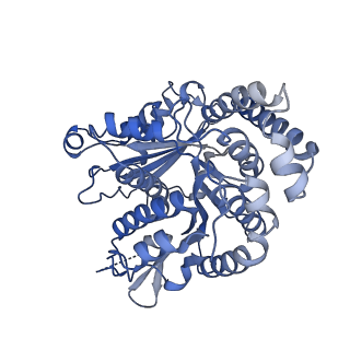 40220_8glv_DL_v1-2
96-nm repeat unit of doublet microtubules from Chlamydomonas reinhardtii flagella
