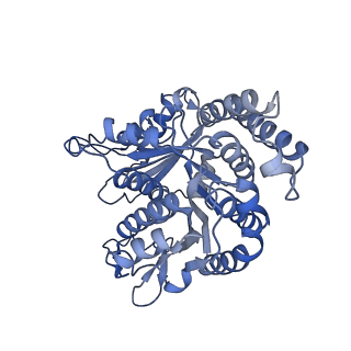 40220_8glv_DM_v1-2
96-nm repeat unit of doublet microtubules from Chlamydomonas reinhardtii flagella