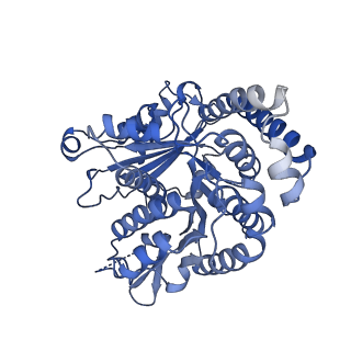 40220_8glv_DN_v1-2
96-nm repeat unit of doublet microtubules from Chlamydomonas reinhardtii flagella