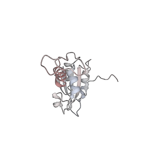 40220_8glv_DO_v1-2
96-nm repeat unit of doublet microtubules from Chlamydomonas reinhardtii flagella