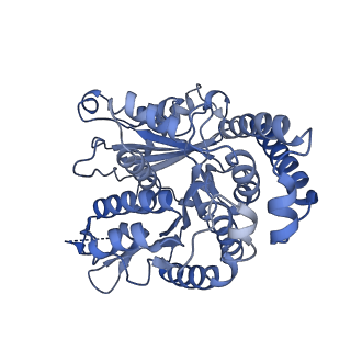 40220_8glv_DQ_v1-2
96-nm repeat unit of doublet microtubules from Chlamydomonas reinhardtii flagella