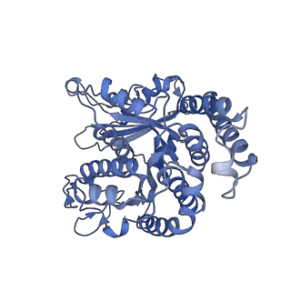 40220_8glv_DT_v1-2
96-nm repeat unit of doublet microtubules from Chlamydomonas reinhardtii flagella