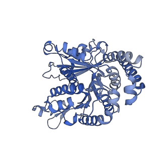 40220_8glv_DU_v1-2
96-nm repeat unit of doublet microtubules from Chlamydomonas reinhardtii flagella