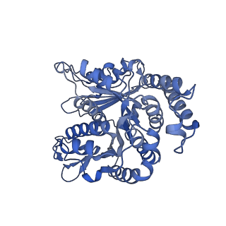 40220_8glv_DV_v1-2
96-nm repeat unit of doublet microtubules from Chlamydomonas reinhardtii flagella