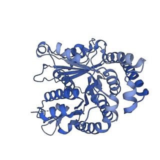 40220_8glv_DW_v1-2
96-nm repeat unit of doublet microtubules from Chlamydomonas reinhardtii flagella