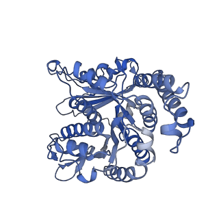 40220_8glv_DX_v1-2
96-nm repeat unit of doublet microtubules from Chlamydomonas reinhardtii flagella