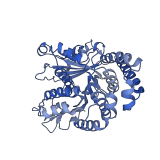 40220_8glv_DY_v1-2
96-nm repeat unit of doublet microtubules from Chlamydomonas reinhardtii flagella