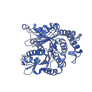 40220_8glv_DZ_v1-2
96-nm repeat unit of doublet microtubules from Chlamydomonas reinhardtii flagella