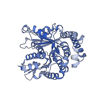 40220_8glv_Da_v1-2
96-nm repeat unit of doublet microtubules from Chlamydomonas reinhardtii flagella