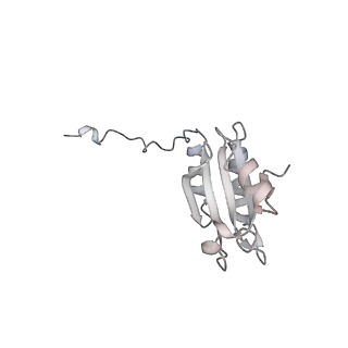 40220_8glv_Dc_v1-2
96-nm repeat unit of doublet microtubules from Chlamydomonas reinhardtii flagella