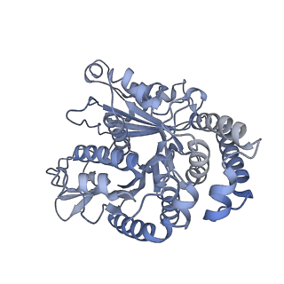 40220_8glv_Dd_v1-2
96-nm repeat unit of doublet microtubules from Chlamydomonas reinhardtii flagella