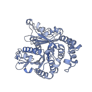 40220_8glv_De_v1-2
96-nm repeat unit of doublet microtubules from Chlamydomonas reinhardtii flagella