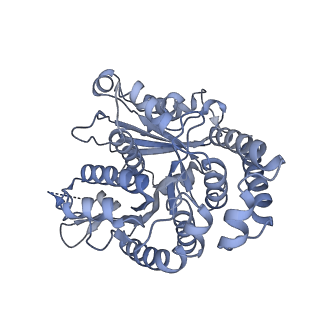 40220_8glv_Df_v1-2
96-nm repeat unit of doublet microtubules from Chlamydomonas reinhardtii flagella