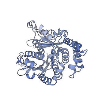 40220_8glv_Dg_v1-2
96-nm repeat unit of doublet microtubules from Chlamydomonas reinhardtii flagella