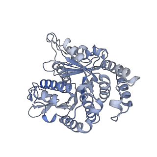 40220_8glv_Di_v1-2
96-nm repeat unit of doublet microtubules from Chlamydomonas reinhardtii flagella