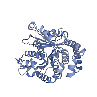 40220_8glv_Dj_v1-2
96-nm repeat unit of doublet microtubules from Chlamydomonas reinhardtii flagella