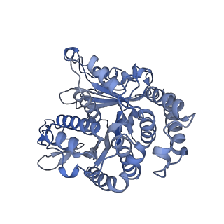 40220_8glv_Dk_v1-2
96-nm repeat unit of doublet microtubules from Chlamydomonas reinhardtii flagella