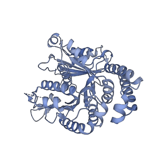 40220_8glv_Dl_v1-2
96-nm repeat unit of doublet microtubules from Chlamydomonas reinhardtii flagella