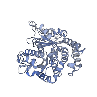 40220_8glv_Dm_v1-2
96-nm repeat unit of doublet microtubules from Chlamydomonas reinhardtii flagella