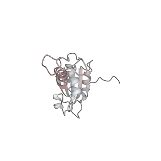 40220_8glv_Dn_v1-2
96-nm repeat unit of doublet microtubules from Chlamydomonas reinhardtii flagella