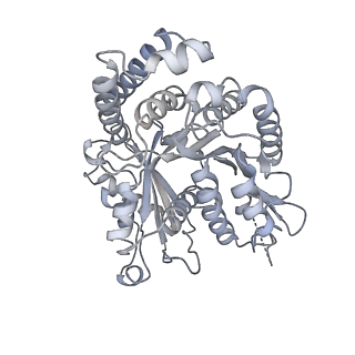 40220_8glv_Dq_v1-2
96-nm repeat unit of doublet microtubules from Chlamydomonas reinhardtii flagella